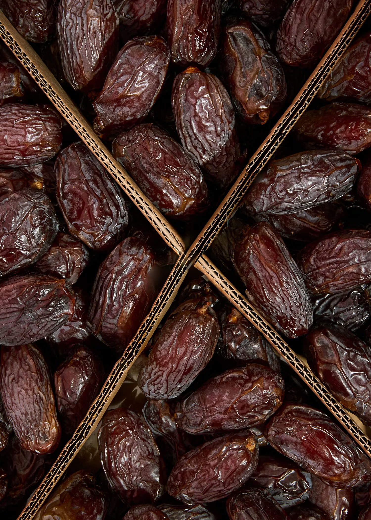 Bulk Iranian dates supplier from Khuzestan province