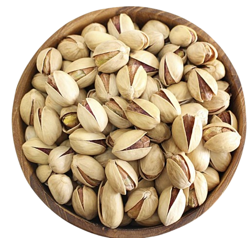 Fandoghi supplier pistachios from Iran